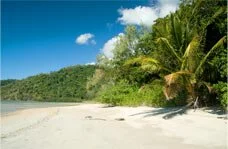 Queensland Beach